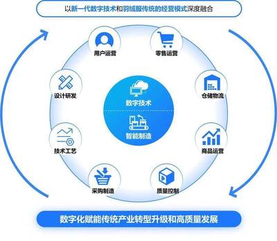 構(gòu)建高效、可持續(xù)的數(shù)字生態(tài)系統(tǒng) 標桿項目實施辦法與數(shù)字技術(shù)服務(wù)路徑